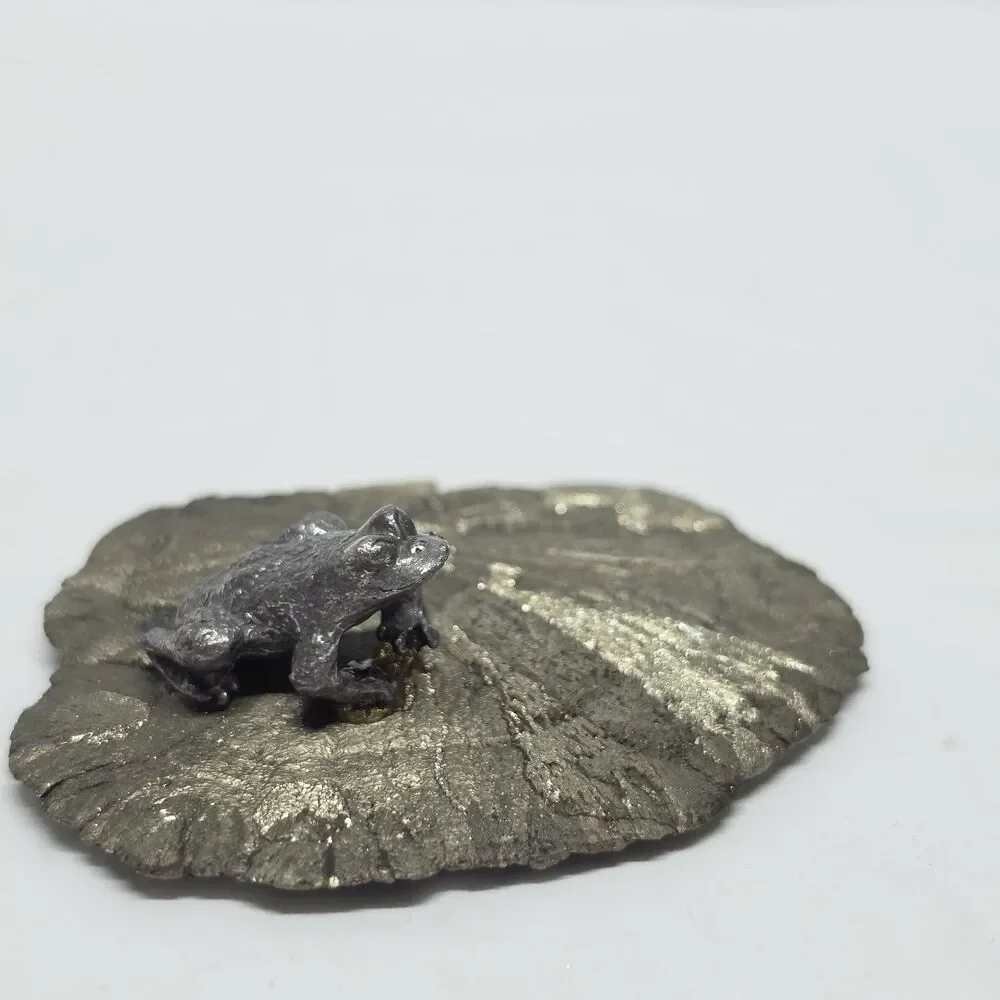 Frog On Pyrite Sun Shiny Miner’s Dollar Fools Gold Illinois Gift Paperweight